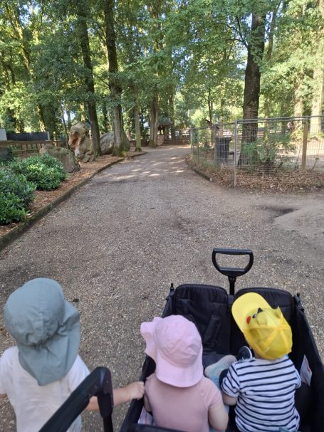 Ausflüge Drei Kinder in einem Wagen auf einem Weg durch einen Wald. Sonnenhüte sind auf ihren Köpfen.