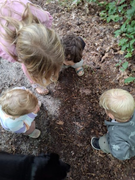 Achtsam die Welt erkunden Vier Kleinkinder erkunden neugierig den Boden im Wald.